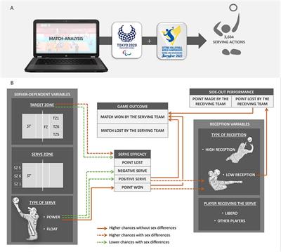 Serving to win: exploring serve-reception effectiveness in high-level male and female sitting volleyball players